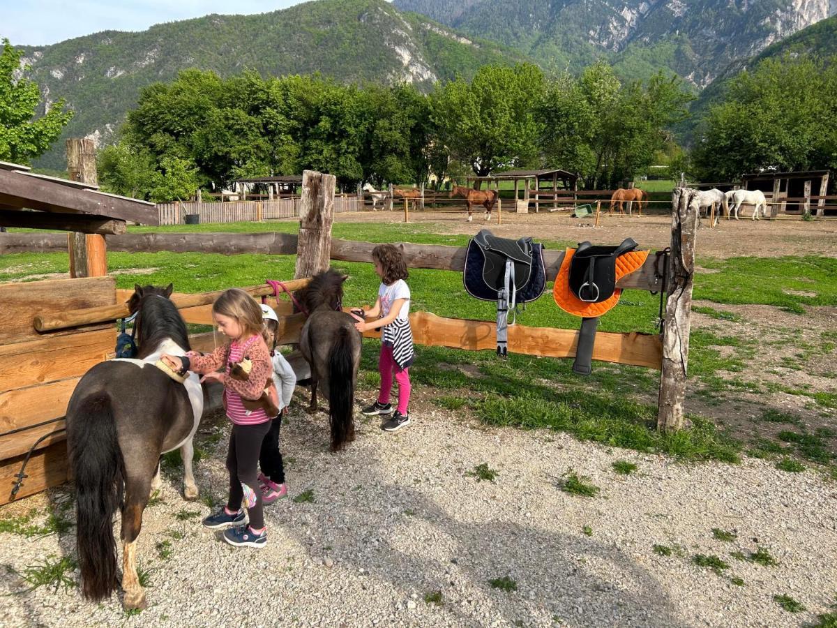 Agritur Airone Bed & Camping Levico Terme Exterior photo