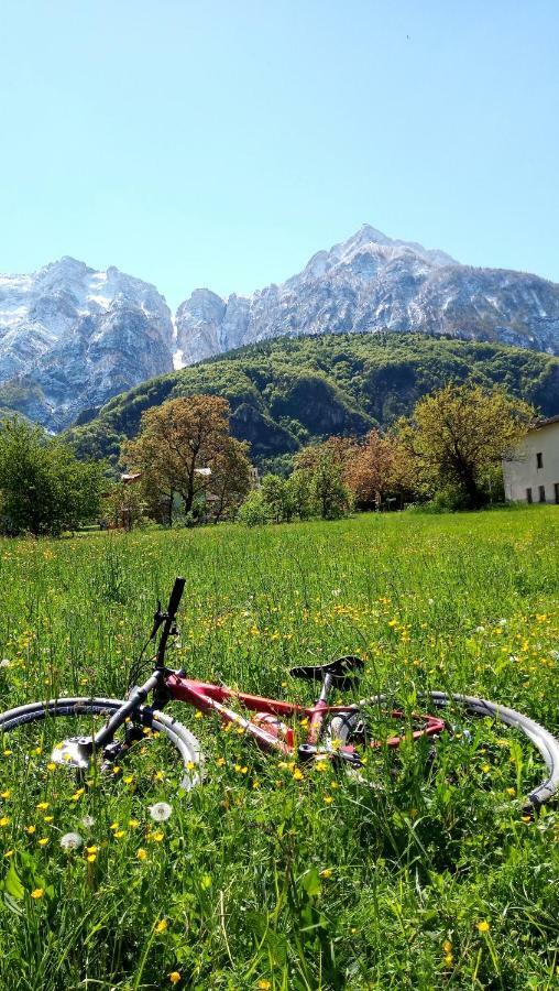 Agritur Airone Bed & Camping Levico Terme Exterior photo