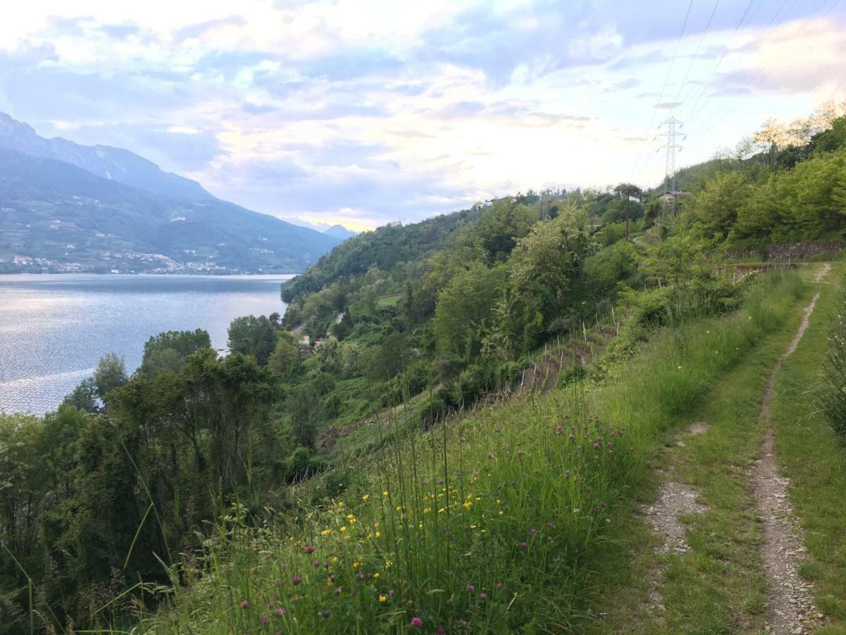 Agritur Airone Bed & Camping Levico Terme Exterior photo