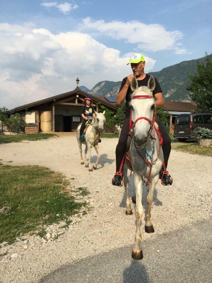 Agritur Airone Bed & Camping Levico Terme Exterior photo